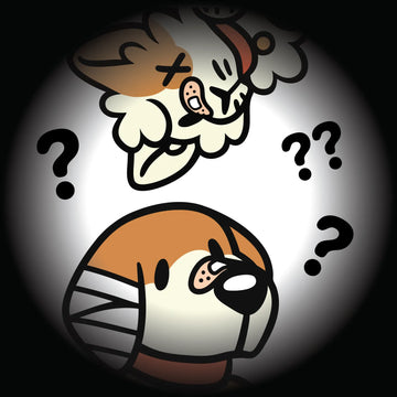 Homepage hero with a cartoon beagle and calico cat surrounded by question marks—intro graphic linking to the About Us for a furry clothing & merch brand.